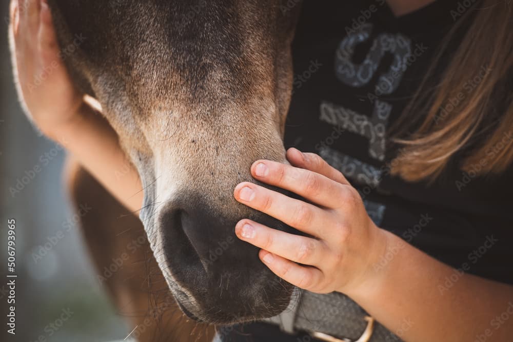 Gallery item 788d0a86-a3f5-4a2a-8a6a-94bab9a8f058