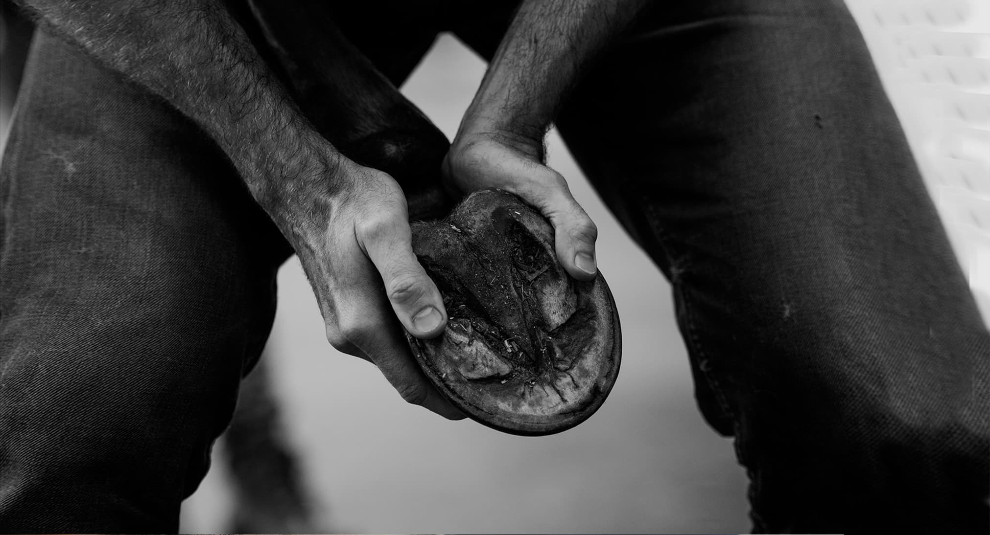 Gallery item 87e98911-386e-403a-9bbf-86cdd54ccfff