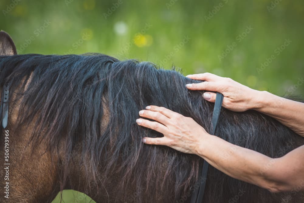 Media text grid image 1