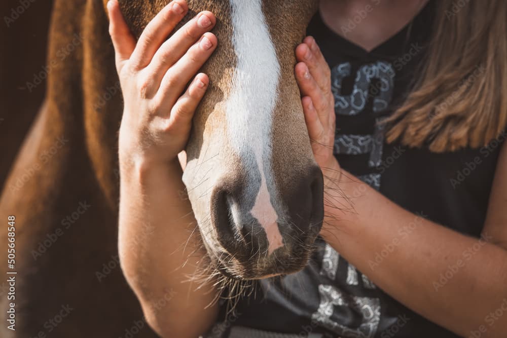 Gallery item d70afb6f-4594-4cfb-95aa-9927c537fce8