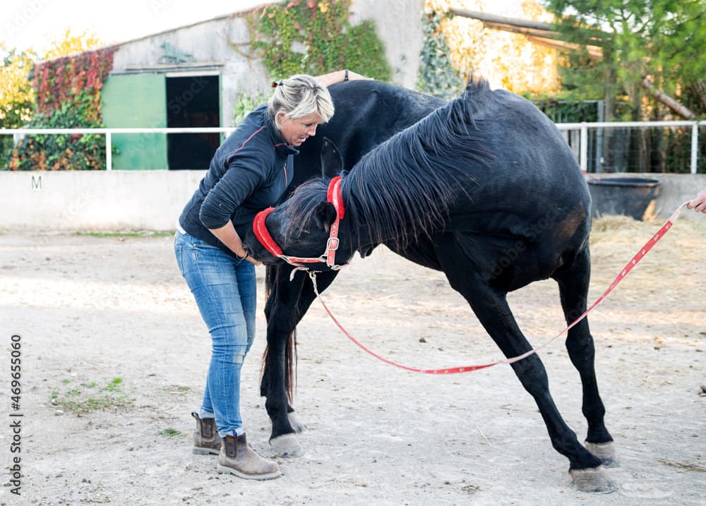 Preventive Osteopathic Consultation