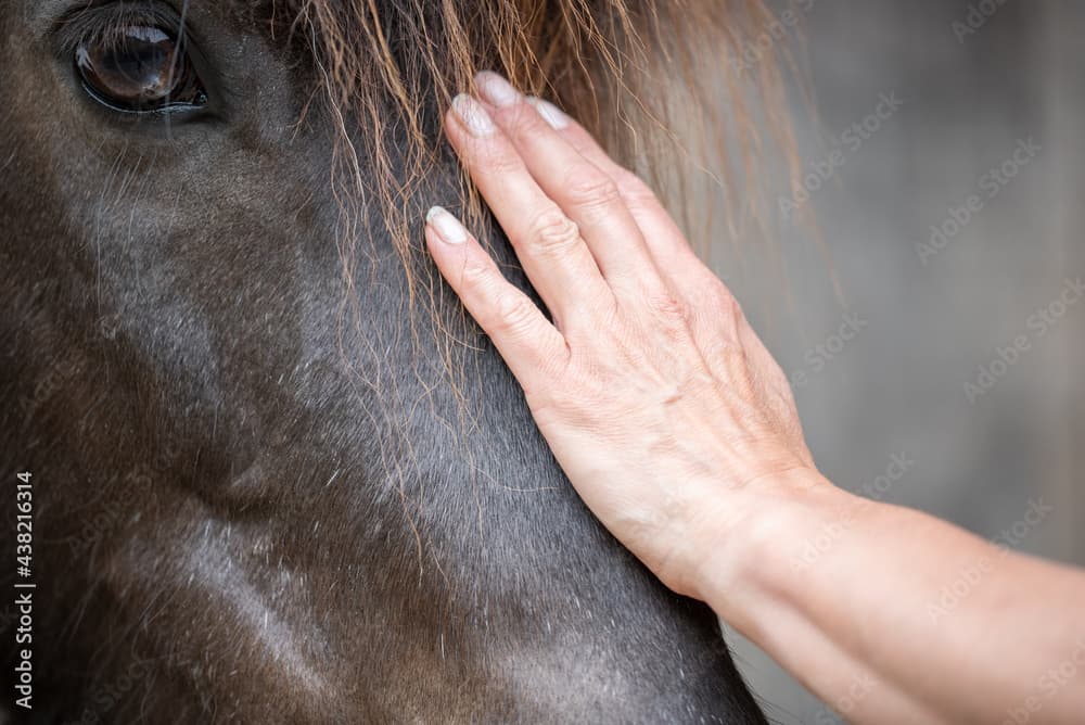 Gallery item b9787a31-207d-435b-8a33-e530f4083395