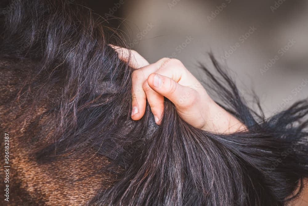 Gallery item e7c4297c-8c10-4cd9-9b3d-848e4d9d9df3